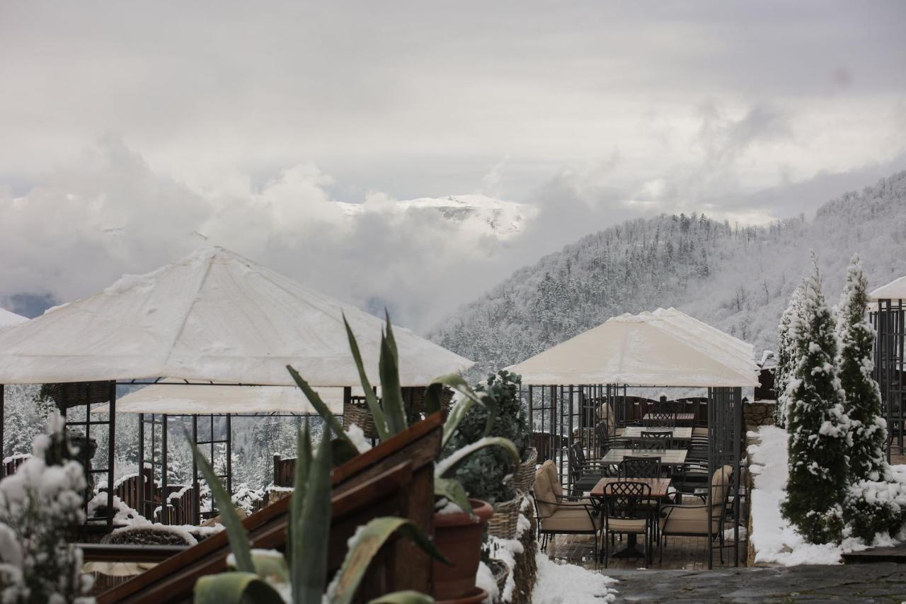 Alpine Castle Hotel Dilijan Εξωτερικό φωτογραφία